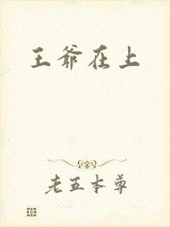 王爷在上