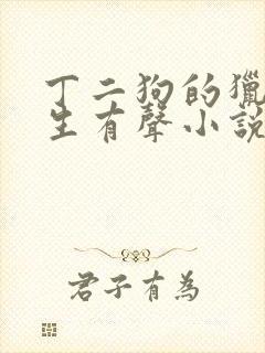 丁二狗的猎艳人生有声小说封面