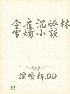 今夜沉醉林杰段雪娇小说