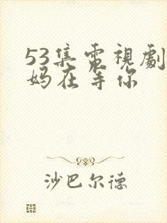 53集电视剧妈妈在等你