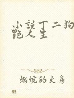 小说丁二狗的猎艳人生