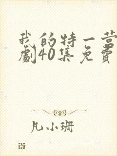 我的特一营电视剧40集免费观看