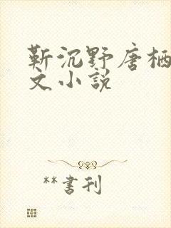靳沉野唐栖雾全文小说