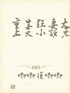 重生狂妻大佬宠上天小说免费听书