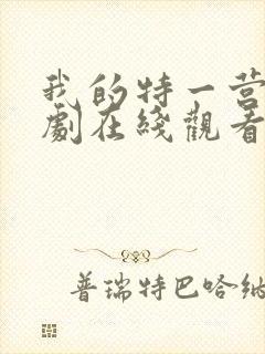 我的特一营电视剧在线观看封面