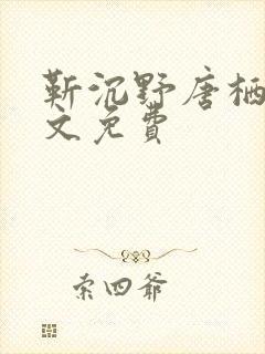靳沉野唐栖雾全文免费