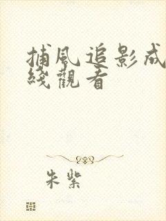 捕风追影成龙在线观看