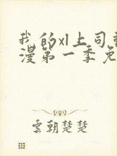 我的xl上司动漫第一季免费观看全集高清