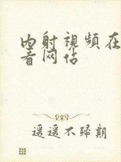 内射视频在线观看网站