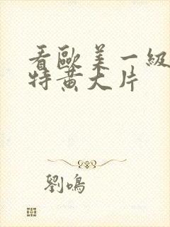 看欧美一级特黄特黄大片