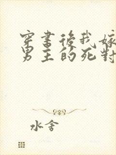 穿书后我嫁给了男主的死对头封面