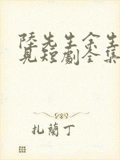 陆先生余生不再见短剧全集免费