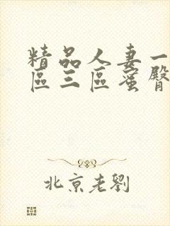 精品人妻一区二区三区蜜臀在线