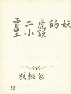 贾二虎的妖孽人生小说封面