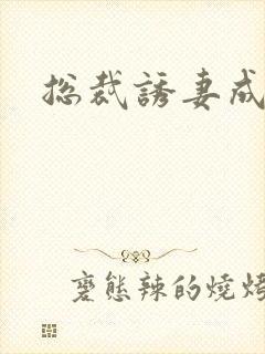 总裁诱妻成瘾封面