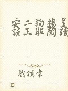 安二狗杨美玲小说正版阅读