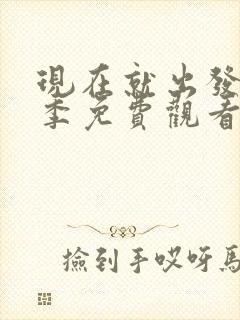 现在就出发第二季免费观看完整版超清封面