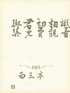 与君初相识 全集免费观看封面