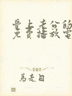 爱上老公的爸爸免费播放电视剧