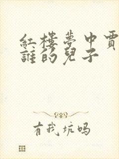 红楼梦中贾蓉是谁的儿子封面