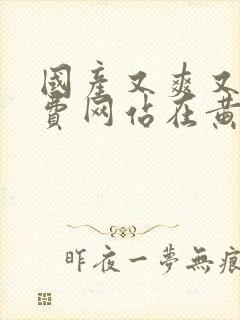 国产又爽又黄免费网站在黄色一级片