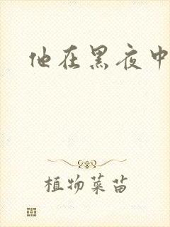 他在黑夜中相拥封面