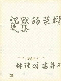 沉默的荣耀一共几集