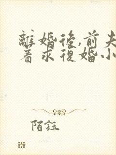 离婚后,前夫哭着求复婚小说全文在线阅读封面