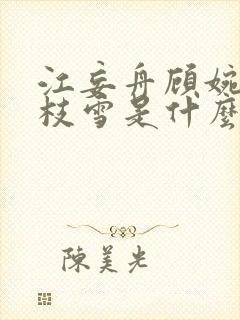 江妄舟顾婉禾宋枝雪是什么小说