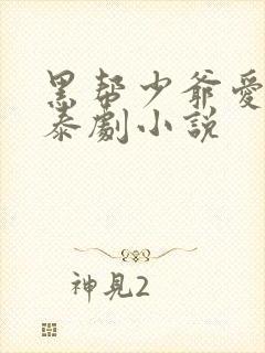 黑帮少爷爱上我泰剧小说