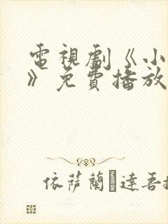 电视剧《小欢喜》免费播放