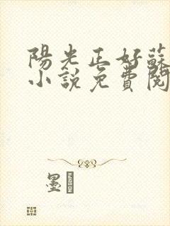 阳光正好苏玥玥小说免费阅读无弹窗