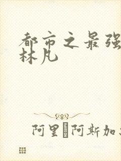 都市之最强仙尊林凡