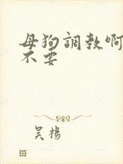 母狗调教啊啊啊不要封面