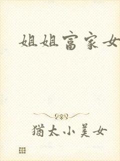 姐姐富家女韩漫封面