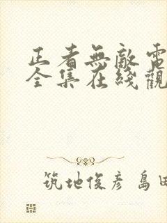 正者无敌电视剧全集在线观看免费