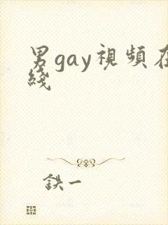 男gay视频在线