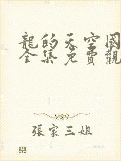 龙的天空国语版全集免费观看