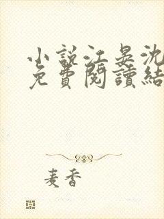 小说江晏沈以馨免费阅读结局