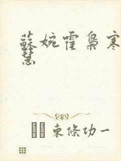 苏婉霍枭寒苏晓慧