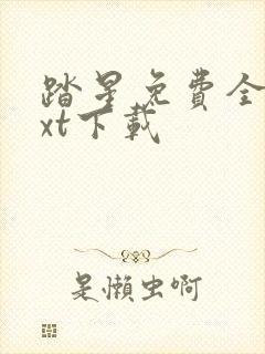 踏星免费全本txt下载