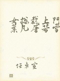 女总裁上门女婿叶凡唐若雪