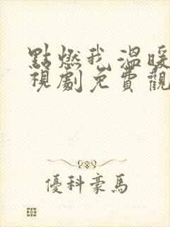 点燃我温暖你电视剧免费观看星辰