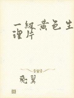 一级黄色生活伦理片