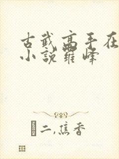 古武高手在都市小说罗峰