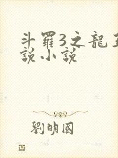 斗罗3之龙王传说小说