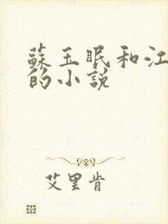 苏玉眠和江易淮的小说