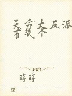 天命大反派女主有几个