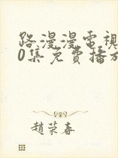 路漫漫电视剧40集免费播放