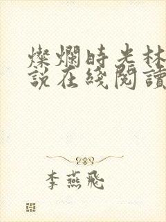 灿烂时光林岚小说在线阅读